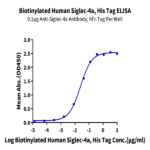 Biotinylated Human Siglec-4a/MAG Protein BP004469 Syd Labs