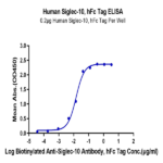 Human Siglec-10 Protein BP005511 Syd Labs
