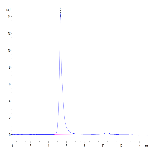 Biotinylated Human Siglec-10 Protein (SIG-HM510B)
