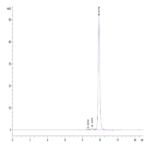 Biotinylated Human SKP1 Protein BP003212 Syd Labs