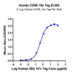 Human CD48/SLAMF2 Protein BP005045 Syd Labs
