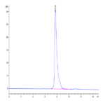 Biotinylated Human SLAMF1/SLAM/CD150 Protein BP004202 Syd Labs