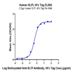 Human SLPI Protein BP004921 Syd Labs