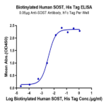 Biotinylated Human SOST/Sclerostin Protein BP004199 Syd Labs