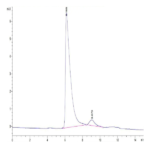 Mouse SP17 Protein BP003539 Syd Labs