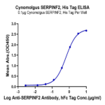 Cynomolgus SERPINF2/A2AP Protein BP004004 Syd Labs