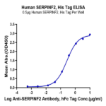 Human SERPINF2/A2AP Protein BP004803 Syd Labs