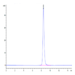 Mouse SERPINF2/A2AP Protein BP004749 Syd Labs