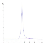 Human CSPG5 Protein BP004210 Syd Labs