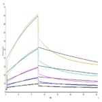 Human SIRP alpha/CD172a Protein BP005321 Syd Labs