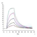 Human SIRP alpha V2/CD172a Protein BP005744 Syd Labs