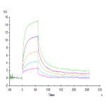 Human SIRP alpha/CD172a Protein BP005320 Syd Labs
