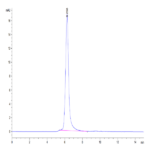 Human SIRP Beta/CD172b Protein BP005531 Syd Labs