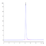 Biotinylated Human SIRP Beta/CD172b Protein BP003758 Syd Labs