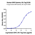 Human SIRP Gamma/CD172g Protein BP005530 Syd Labs