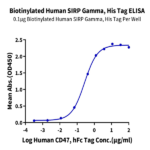 Biotinylated Human SIRP gamma/CD172g Protein BP004968 Syd Labs