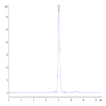 Human SIRP Beta 1 isoform 3 Protein BP004966 Syd Labs