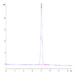 Biotinylated Human SIRP Beta 1 Isoform 3 Protein BP004437 Syd Labs