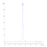 Human SIRP alpha V4 Protein BP005782 Syd Labs