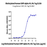 Biotinylated Human SIRP alpha V4 Protein BP004965 Syd Labs