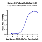 Human SIRP alpha V5 Protein BP005783 Syd Labs