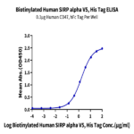 Biotinylated Human SIRP alpha V5 Protein BP004397 Syd Labs