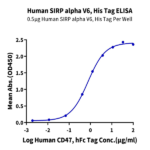 Human SIRP alpha V6 Protein BP004962 Syd Labs