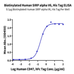 Biotinylated Human SIRP alpha V6 Protein BP004396 Syd Labs