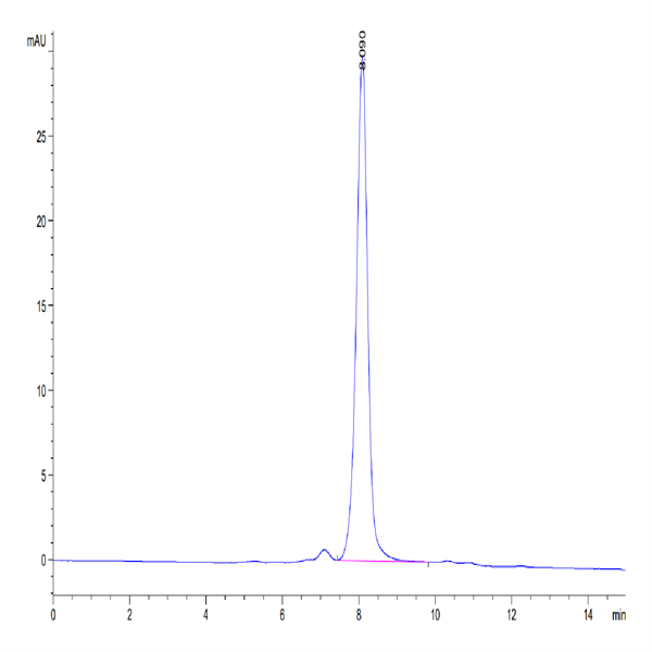 Biotinylated Human SIRP alpha V6 Protein (SRP-HM4V6B)
