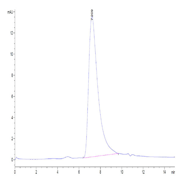 Human SIRP alpha V8 Protein (SRP-HM4V8)