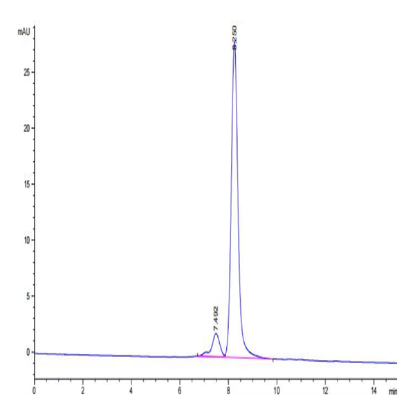 Biotinylated Human SIRP alpha V8 Protein (SRP-HM4V8B)