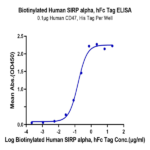 Biotinylated Human SIRP alpha/CD172a Protein BP005658 Syd Labs