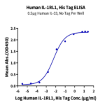 Human IL-1RL1/ST2 Protein BP005041 Syd Labs