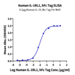 Human IL-1RL1/ST2 Protein BP003249 Syd Labs