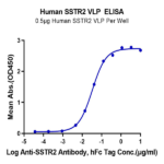 Human SSTR2 Protein-VLP BP004198 Syd Labs