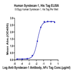 Human Syndecan-1 Protein BP004573 Syd Labs