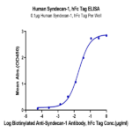 Human Syndecan-1 Protein BP005163 Syd Labs