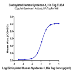 Biotinylated Human Syndecan-1 Protein BP004565 Syd Labs