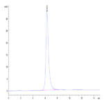 Mouse Syndecan-1 Protein BP004433 Syd Labs