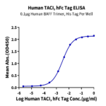 Human TACI/TNFRSF13B Protein BP004435 Syd Labs
