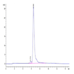Canine TEM1/cd248 Protein BP003976 Syd Labs