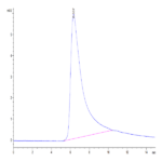 Cynomolgus Transferrin R/CD71 Protein BP004961 Syd Labs