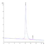 Canine Coagulation Factor III/Tissue Factor Protein BP003876 Syd Labs