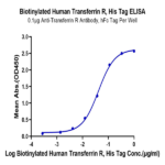 Biotinylated Human Transferrin R/CD71 Protein BP004123 Syd Labs