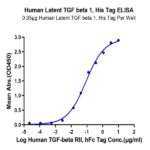 Human Latent TGF beta 1/TGFB1 Protein BP005528 Syd Labs