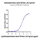 Biotinylated Human Latent TGF beta 1/TGFB1 Protein BP005218 Syd Labs