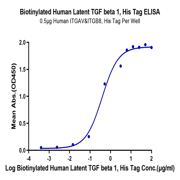 Biotinylated Human Latent TGF beta 1/TGFB1 Protein (TG1-HM401B)