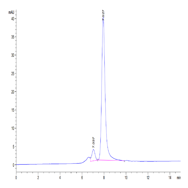 Biotinylated Human Latent TGF beta 1/TGFB1 Protein (TG1-HM401B)