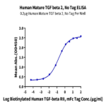 Human Mature TGF beta 2 Protein BP004600 Syd Labs