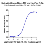 Biotinylated Human Mature TGF beta 2 Protein BP004114 Syd Labs